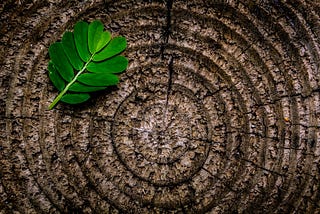 Humans Are Like Trees