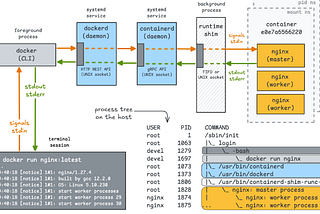 Docker run vs exec