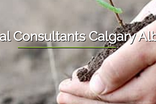 Buying Real Estate? Beware Of Polluted Sites!