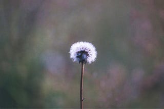 Why Vulnerability Is Your Social Superpower – And How to Use It Without Fear