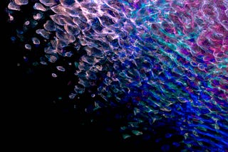 Ebbing and Flowing