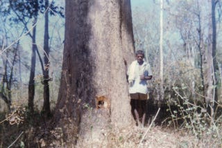 Life of a Tea Planter –  the Kerala days