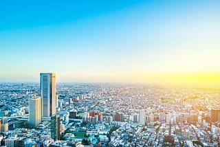 Social Innovation, Sustainability, and Disaster Resilience: Lessons from Japan