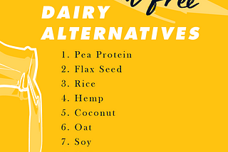 Top Nut Free Dairy Alternatives