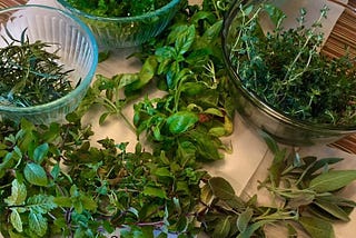 How to start a container herb garden