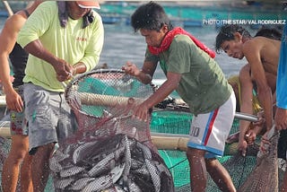 Fishers set to incur financial loss over PH’s 25-M kilos fish import