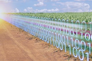 Realizing the promise of digital agriculture