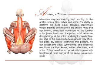 FIRE UP YOUR METABOLISM WITH MALASANA — YOGI360