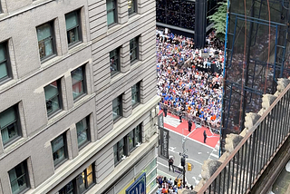 The Knicks from My Terrace