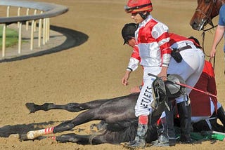 The Kentucky Derby is horse racing at its finest, until the finest have to be sacrificed for the…