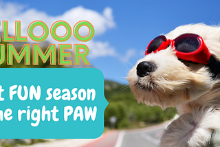 HOT SUMMER DAYS ARE HERE, ARE YOU AND YOUR ENERGETIC DOG PREPARED?