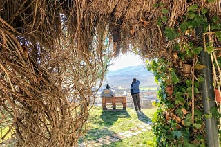 La conexión con la naturaleza se vive con los 5 sentidos, con nuestras emociones, con la apreciación de la belleza, con la celebración del significado y con compasión y cuidados