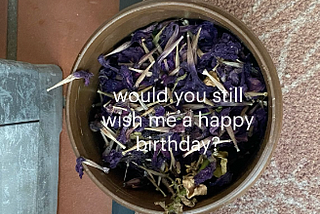 will you think of me on my birthday?