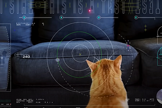 A Cat from Space: NASA Unveils Laser-Sharp Communication