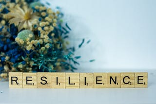 Staying Zen Amidst Business Chaos: A Guide for Business Pioneers