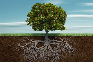 Systems change frameworks — a proliferation