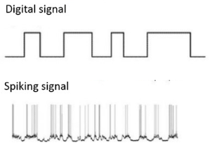 Deriving inspiration from the human brain: neuromorphic computing