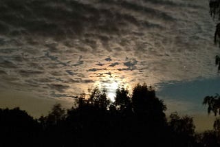 Awakening, Refinement & Integration