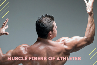 Debunking the Myths about Athletes Muscle Fibers