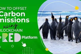 How to Offset Carbon Emissions Using Blockchain, on the RED Platform