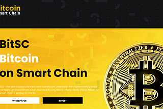 Missed Bitcoin at $1? Don’t miss Bitcoin Smart Chain at $1.