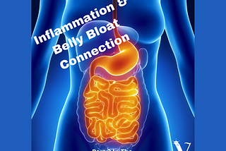 Inflammation-Belly Fat Connection