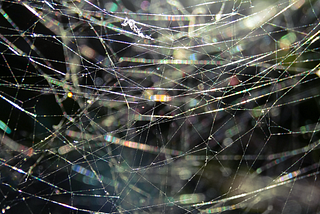 A close up image of a spider web with several interconnected threads.