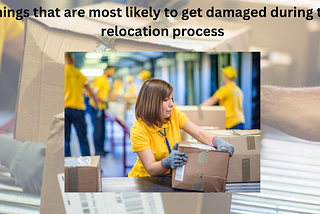 What Are The Things That Usually Get Damaged During Relocation?