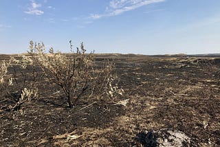 West’s ‘dust bowl’ future now ‘locked in’, as world risks imminent food crisis