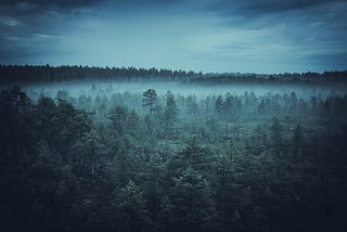 Estonia’s witches have gathered at their sauna for the first time in three years