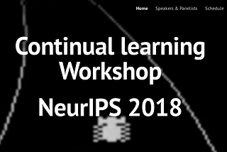 Summary of the 2nd “Continual Learning” Workshop at NeurIPS 2018