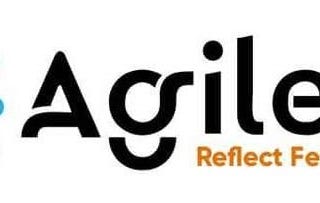 Celebrating 20+ Years of Agility at the Agile20Reflect Festival