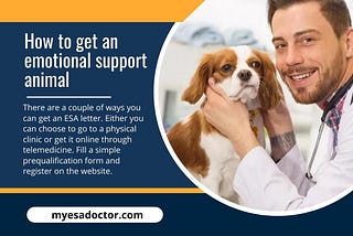 How to Get an Emotional Support Animal