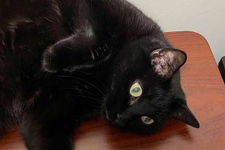 Black cat with green eyes lounging on a desk.