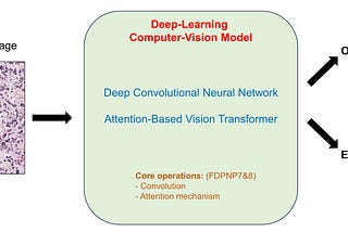 FDPNP3: Artificial Intelligence under the Microscope (Part 2)