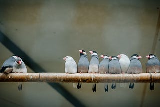 What Are the Group Norms in Your Organization?