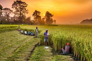 New Farm laws to Bring Innovation in Indian Agriculture