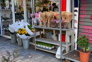 The Elephant Invasion of Paris