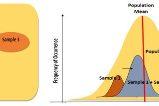 Hypothesis Testing