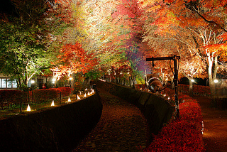 Lake Kawaguchi Autumn Festival, Japan