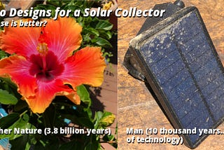 Hibiscus flower and small solar panel