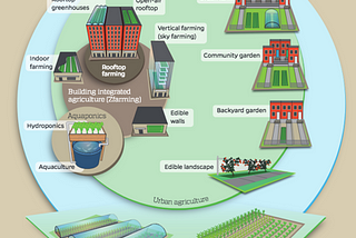 Food System Revolution: The Potential of Urban Agriculture