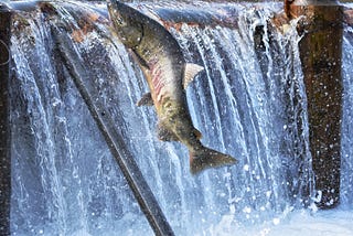 Upstream