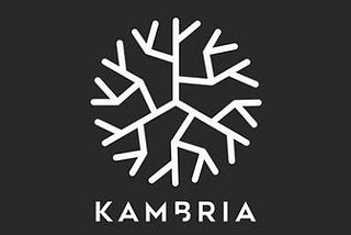 The Kambria Ico Update