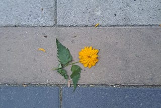 The road that was “made for you”