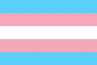 trans flag
