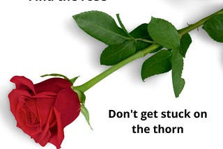 Healing Emotional Abuse ~ Find the Rose; Don’t Get Stuck on the Thorn