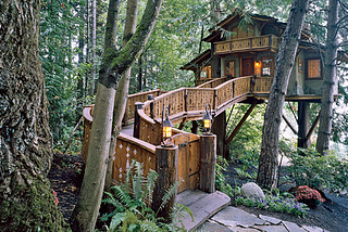 Inhabited Treehouse, Olympic Peninsula, Washington