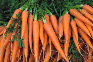 What happens if I eat carrots daily?