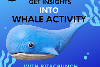 Navigating the NFT Ocean: Understanding Whale Influence and Gaining Insights with BitsCrunch
